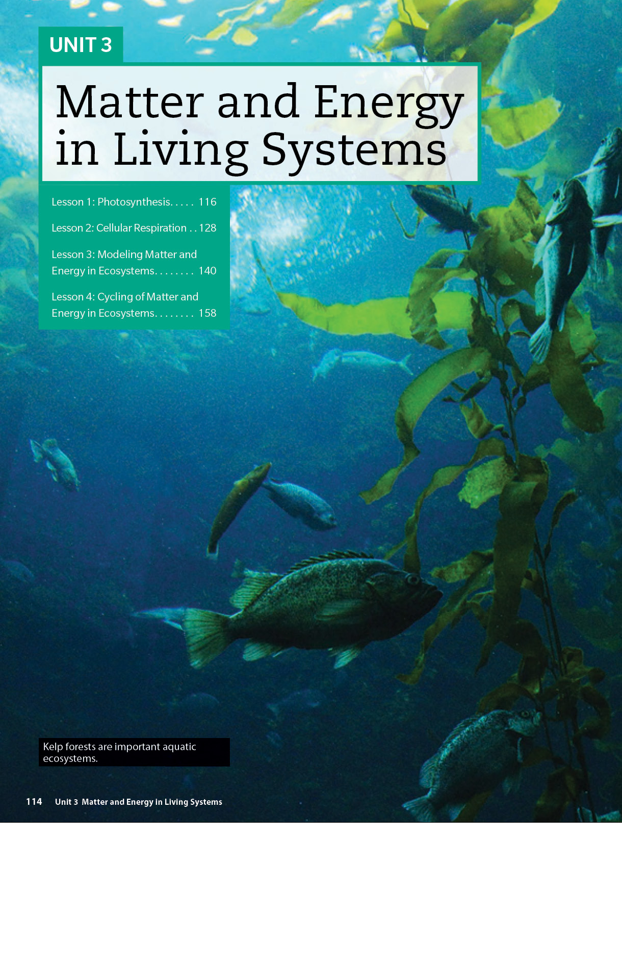 Unit 3 page Dimensions Biology book, Matter and Energy in Living Systems. It has a kelp forestwith fish swimming around it.