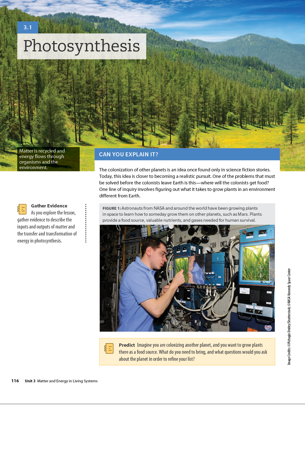 Sample biology page Dimensions Biology book about photosynthesis.