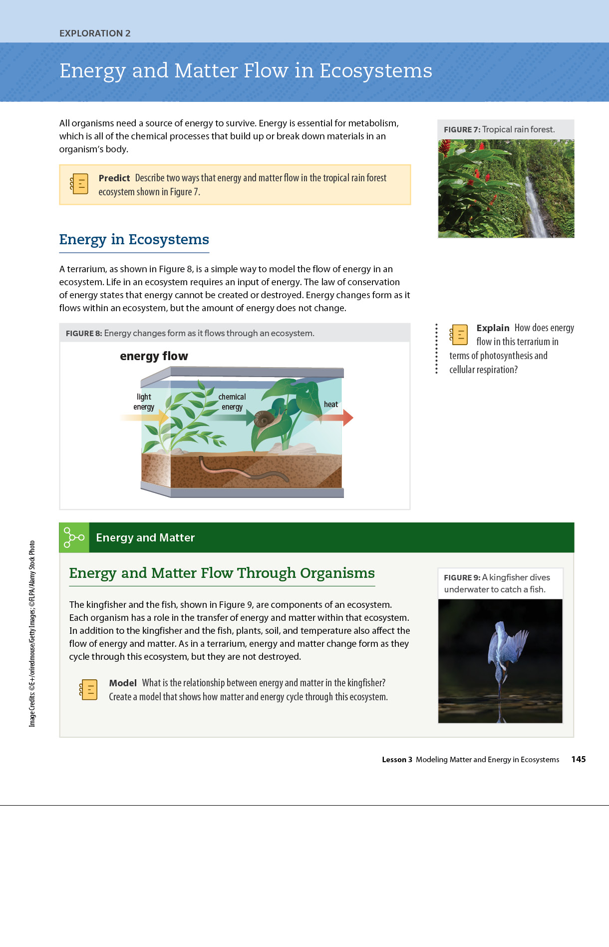 Sample biology page Dimensions Biology book about energy and matter flow in ecosystems.